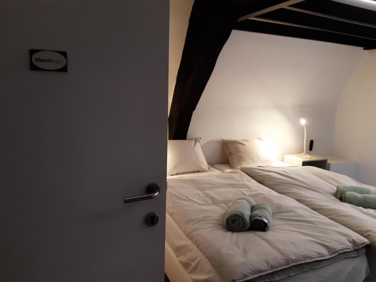 Het Maelslot Apartment Мехелен Екстериор снимка