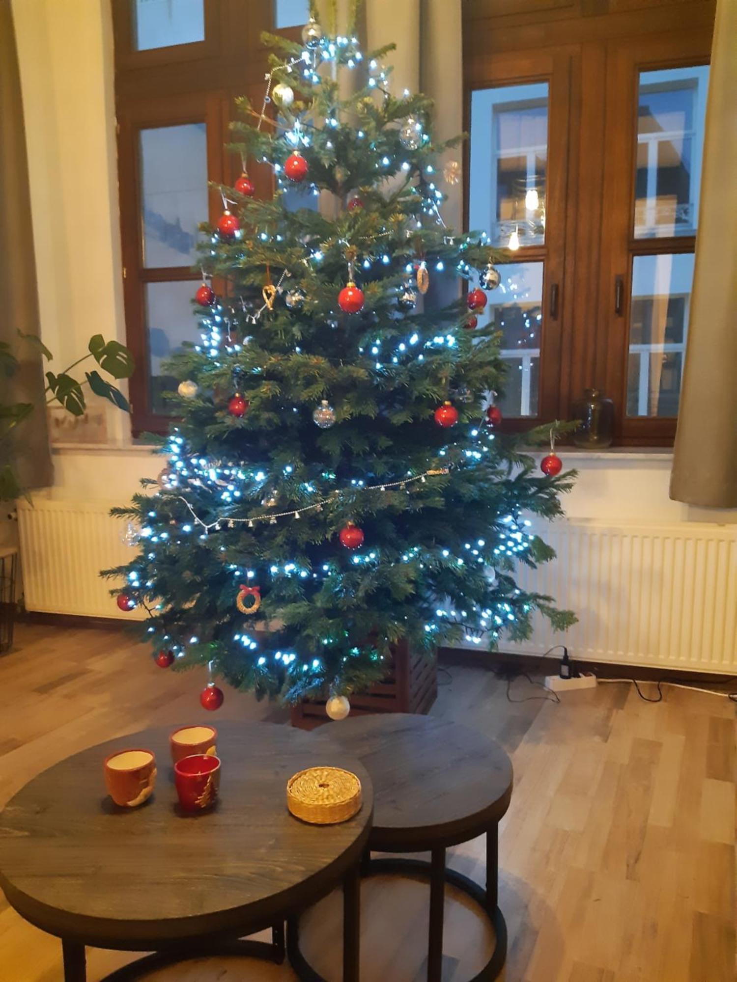 Het Maelslot Apartment Мехелен Екстериор снимка